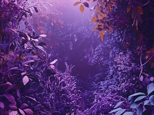 梦幻紫色植物森林景观
