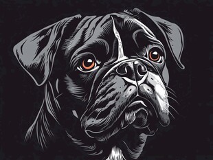 黑白风巴哥犬头部插画