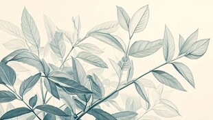 清新叶片插画 自然之美