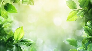 清新绿叶背景图