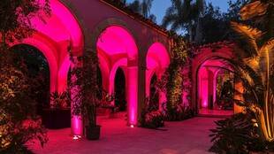 梦幻粉光映照的庭院景观