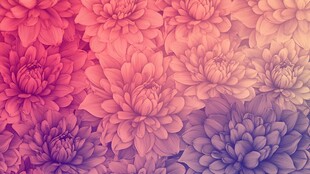 梦幻渐变花卉背景图