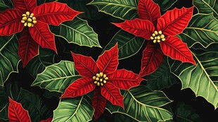 圣诞红花卉精美图案