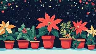 圣诞盆栽夜景装饰插画