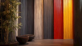 多彩竖纹墙面旁的绿植景致