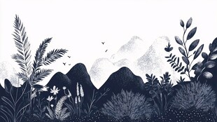 黑白山林植物插画风景