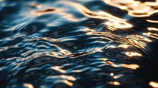 波光粼粼的水面