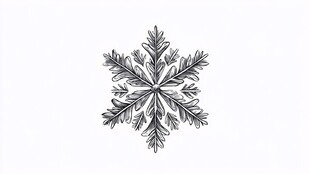 手绘雪花图案设计元素