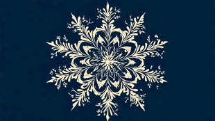 精致雪花图案设计元素