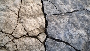干裂大地纹理特写