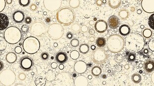 抽象圆圈纹理背景图案