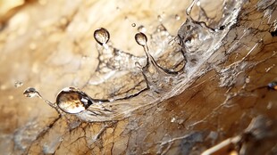 水滴飞溅瞬间的美妙景象