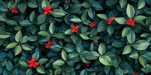 绿叶丛中点点红