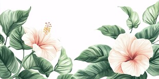 粉色木槿花与绿叶插画