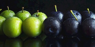 青李与紫李的清新组合