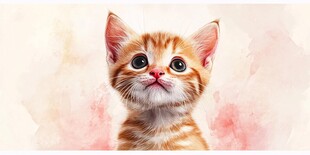 可爱橘猫水彩风萌照