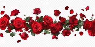 浪漫红玫瑰花瓣装饰图
