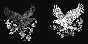黑白双鹰与花枝图案设计