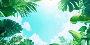 夏日热带绿植蓝天美景