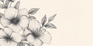 手绘芙蓉花简约背景图