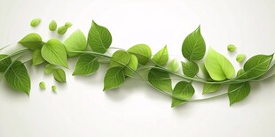 绿色藤蔓叶片装饰图案