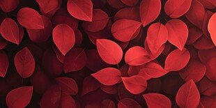 深红叶片背景图