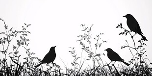 三只鸟儿栖于草木间