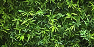 翠绿竹叶背景图