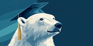 戴学士帽的北极熊