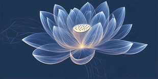 梦幻透明莲花插画