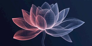 梦幻线条勾勒的虚拟莲花