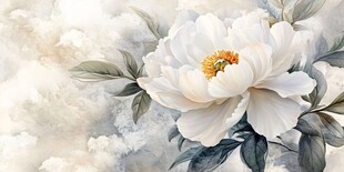 白色芍药花卉优雅绽放