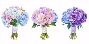 三束缤纷绣球花束插画