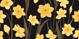 黑色背景上的黄色水仙图案
