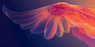 梦幻炫彩翅膀艺术图像