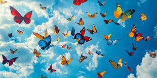 群蝶飞舞于蓝天云朵间