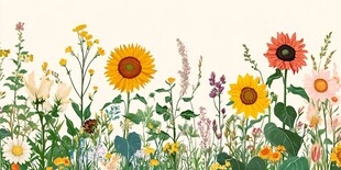 夏日烂漫花卉植物插画