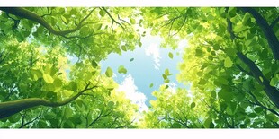 仰观葱郁树冠 天光洒落