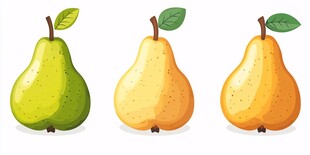 三个梨子插画