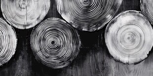 黑白木片纹理特写