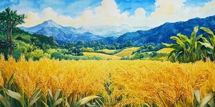 金色稻田与远山风光