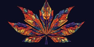 绚丽多彩枫叶图案设计