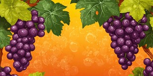 紫葡萄绿叶的清新画面