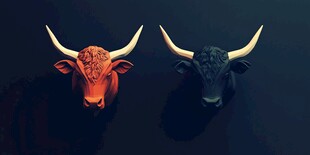 双牛头像 红黑对比的艺术