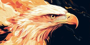 金色雄鹰头部特写插画