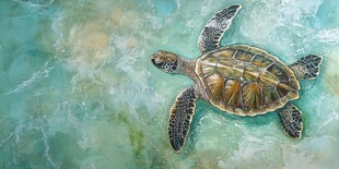 海龟在清澈海水中畅游