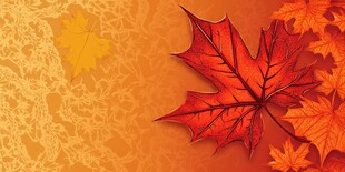 秋日枫叶背景图