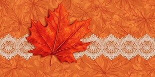 枫叶配蕾丝的秋日风情