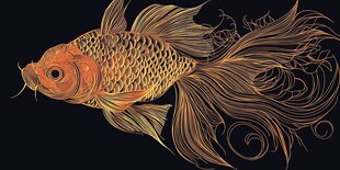 华丽金鱼插画