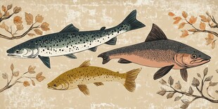 三条鱼的复古风插画